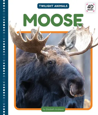 Łoś - Moose