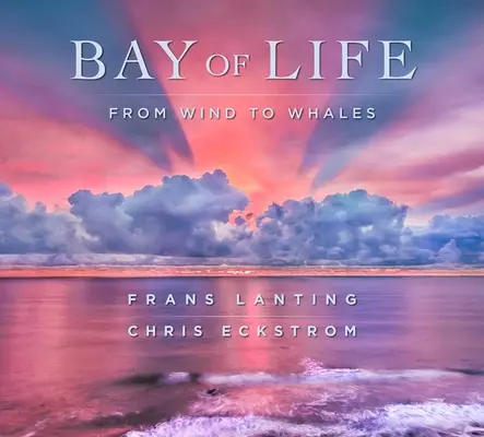 Zatoka życia: Od wiatru do wielorybów - Bay of Life: From Wind to Whales