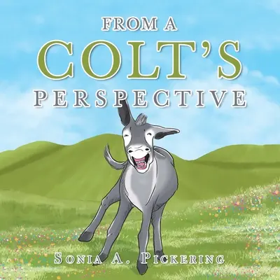 Z perspektywy Colta - From a Colt's Perspective