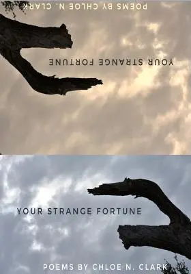 Twoja dziwna fortuna - Your Strange Fortune