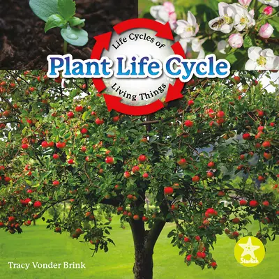 Cykl życia roślin - Plant Life Cycle