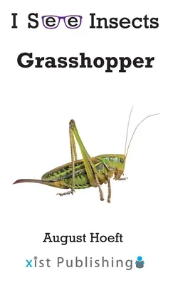 Konik polny - Grasshopper