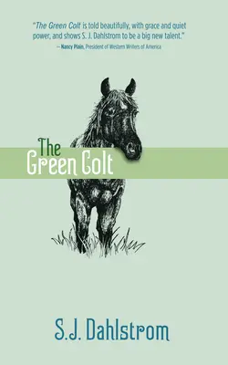 Zielony Colt: Przygody Wildera Gooda #4 - The Green Colt: The Adventures of Wilder Good #4