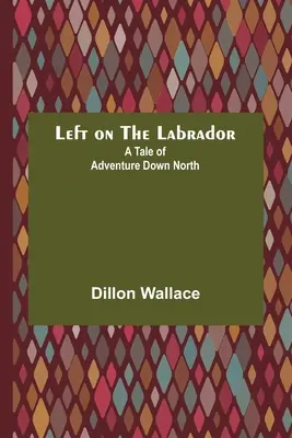 Left on the Labrador: Opowieść o przygodzie na północy - Left on the Labrador: A Tale of Adventure Down North