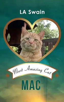 Mac: Najbardziej niesamowity kot - Mac: Most Amazing Cat