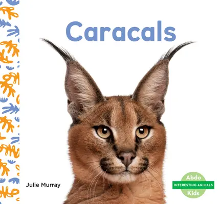 Karakale - Caracals