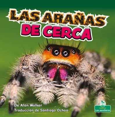 Las Araas de Cerca (Pająki z bliska) - Las Araas de Cerca (Spiders Up Close)