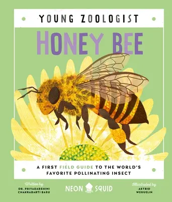 Pszczoła miodna (Młody zoolog): Pierwszy przewodnik terenowy po ulubionym owadzie zapylającym na świecie - Honey Bee (Young Zoologist): A First Field Guide to the World's Favorite Pollinating Insect