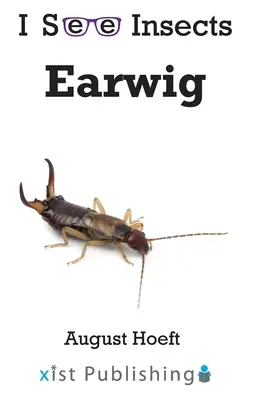 Skorki - Earwig
