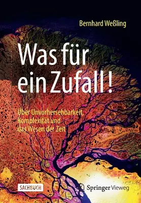 Was Fr Ein Zufall!: Ber Unvorhersehbarkeit, Komplexitt Und Das Wesen Der Zeit - Was Fr Ein Zufall!: ber Unvorhersehbarkeit, Komplexitt Und Das Wesen Der Zeit