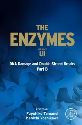Uszkodzenia DNA i pęknięcia dwuniciowe Część B: Tom 52 - DNA Damage and Double Strand Breaks Part B: Volume 52