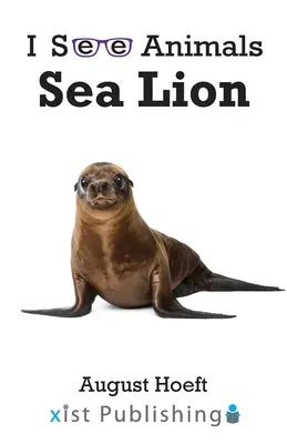 Lew morski - Sea Lion