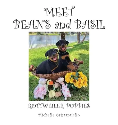 Poznaj fasolę i bazylię - Meet Beans and Basil