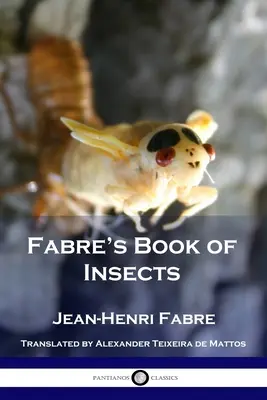 Księga owadów Fabre'a - Fabre's Book of Insects