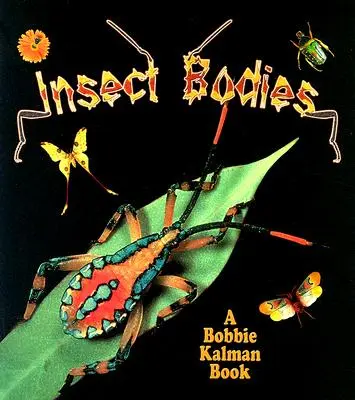 Ciała owadów - Insect Bodies