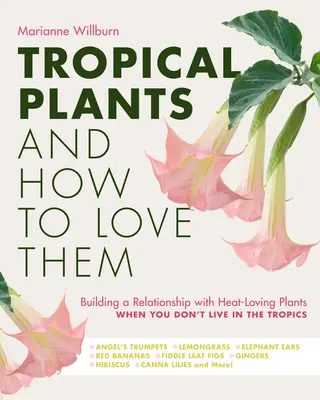 Rośliny tropikalne i jak je kochać: Budowanie relacji z roślinami ciepłolubnymi, gdy nie mieszkasz w tropikach - Trąbki anielskie - Lemongra - Tropical Plants and How to Love Them: Building a Relationship with Heat-Loving Plants When You Don't Live in the Tropics - Angel's Trumpets - Lemongra