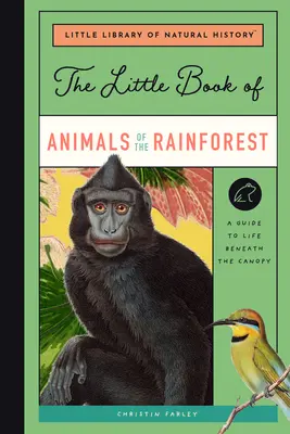 Mała księga zwierząt lasów deszczowych: Przewodnik po życiu w najbardziej zróżnicowanym ekosystemie Ziemi - The Little Book of Animals of the Rainforest: A Guide to Life in Earth's Most Diverse Ecosystem