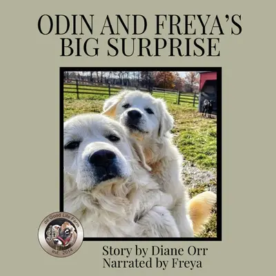 Wielka niespodzianka Odyna i Frei: Książka o farmie de Good Life - Odin and Freya's Big Surprise: A de Good Life Farm book