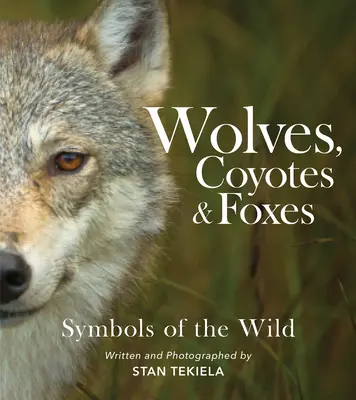 Wilki, kojoty i lisy: Symbole dzikiej przyrody - Wolves, Coyotes & Foxes: Symbols of the Wild