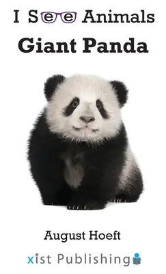 Panda wielka - Giant Panda