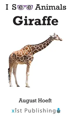Żyrafa - Giraffe