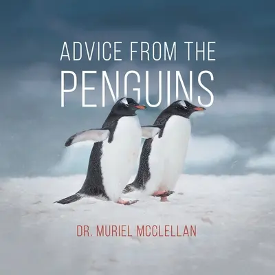 Porady od pingwinów - Advice from the Penguins