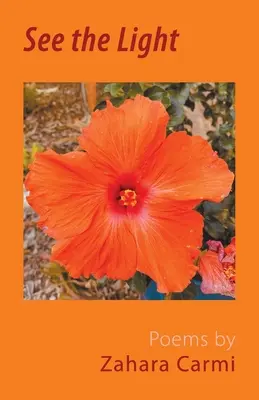 Zobaczyć światło - See the Light