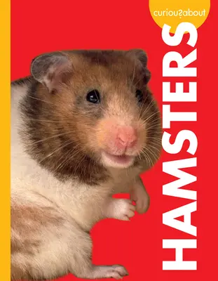 Ciekawostki o chomikach - Curious about Hamsters