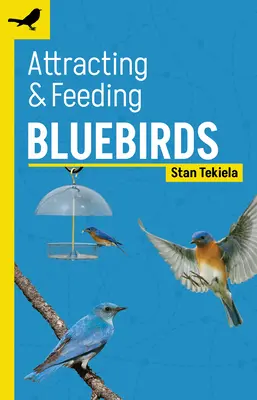 Wabienie i karmienie niebieskich ptaków - Attracting & Feeding Bluebirds