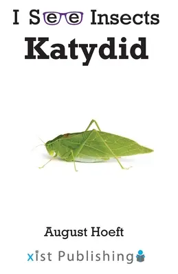 Katydida - Katydid