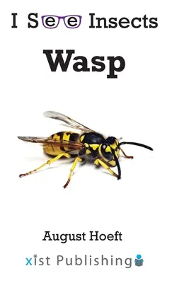 Osa - Wasp