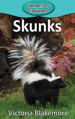 Skunksy - Skunks
