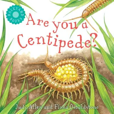 Czy jesteś stonogą? - Are You a Centipede?