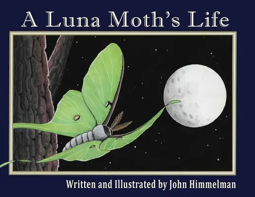 Życie ćmy luna - A Luna Moth's Life