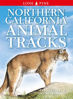 Ślady zwierząt północnej Kalifornii - Northern California Animal Tracks