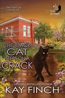 Czarny kot nadepnął na pęknięcie - The Black Cat Steps on a Crack