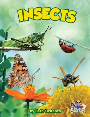 Owady - Insects