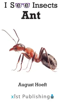 Mrówka - Ant