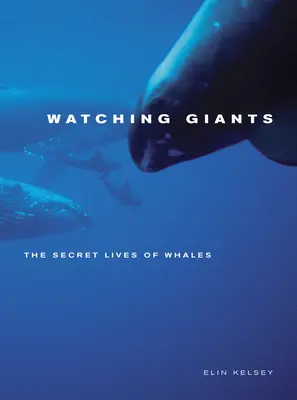 Watching Giants: Sekretne życie wielorybów - Watching Giants: The Secret Lives of Whales