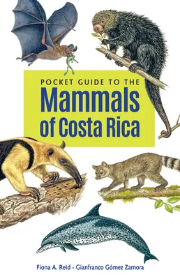 Kieszonkowy przewodnik po ssakach Kostaryki - Pocket Guide to the Mammals of Costa Rica