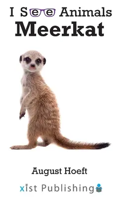 Surykatka - Meerkat