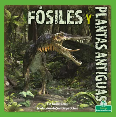 Fossiles Y Plantas Antiguas (Skamieniałości i starożytne rośliny) - Fsiles Y Plantas Antiguas (Fossils and Ancient Plants)