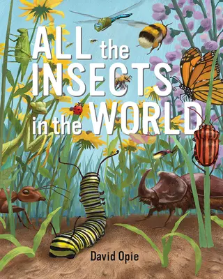 Wszystkie owady świata - All the Insects in the World