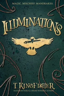 Iluminacje - Illuminations