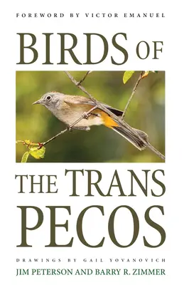 Ptaki Trans-Pecos - Birds of the Trans-Pecos