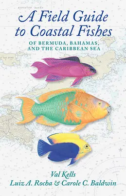 Przewodnik terenowy po rybach przybrzeżnych Bermudów, Bahamów i Morza Karaibskiego - A Field Guide to Coastal Fishes of Bermuda, Bahamas, and the Caribbean Sea