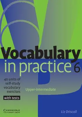 Słownictwo w praktyce: 40 ćwiczeń do samodzielnej nauki słownictwa wraz z testami - Vocabulary in Practice: 40 Units of Self-Study Vocabulary Exercises with Tests