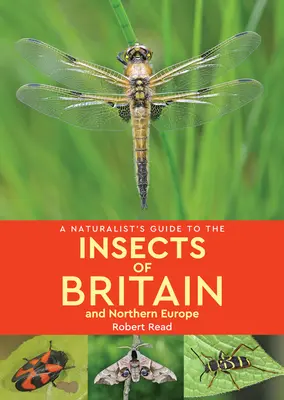 Przewodnik przyrodnika po owadach Wielkiej Brytanii i Europy Północnej - A Naturalist's Guide to the Insects of Britain & Northern Europe