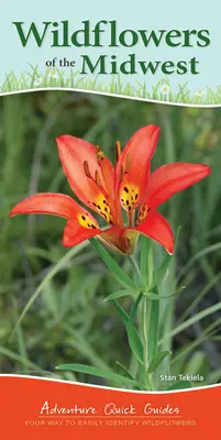 Wildflowers of the Midwest: Twój sposób na łatwą identyfikację dzikich kwiatów - Wildflowers of the Midwest: Your Way to Easily Identify Wildflowers