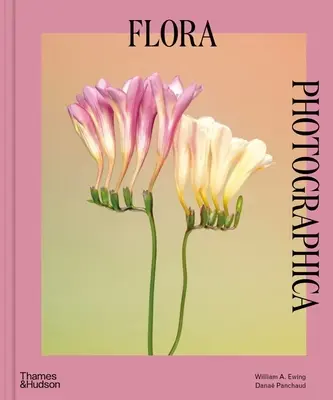 Flora Photographica: Kwiat we współczesnej fotografii - Flora Photographica: The Flower in Contemporary Photography